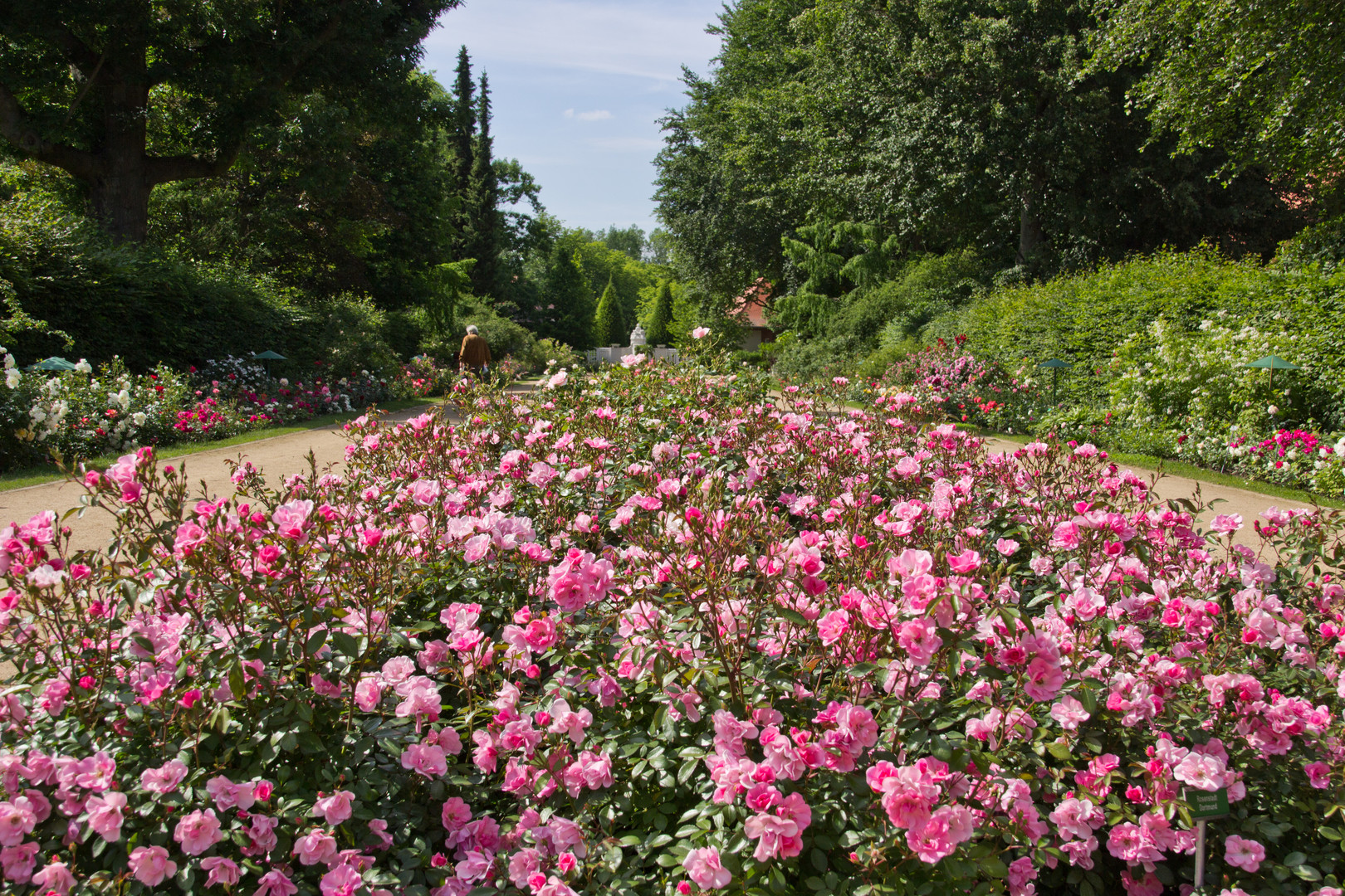 Einen ganzen Park...