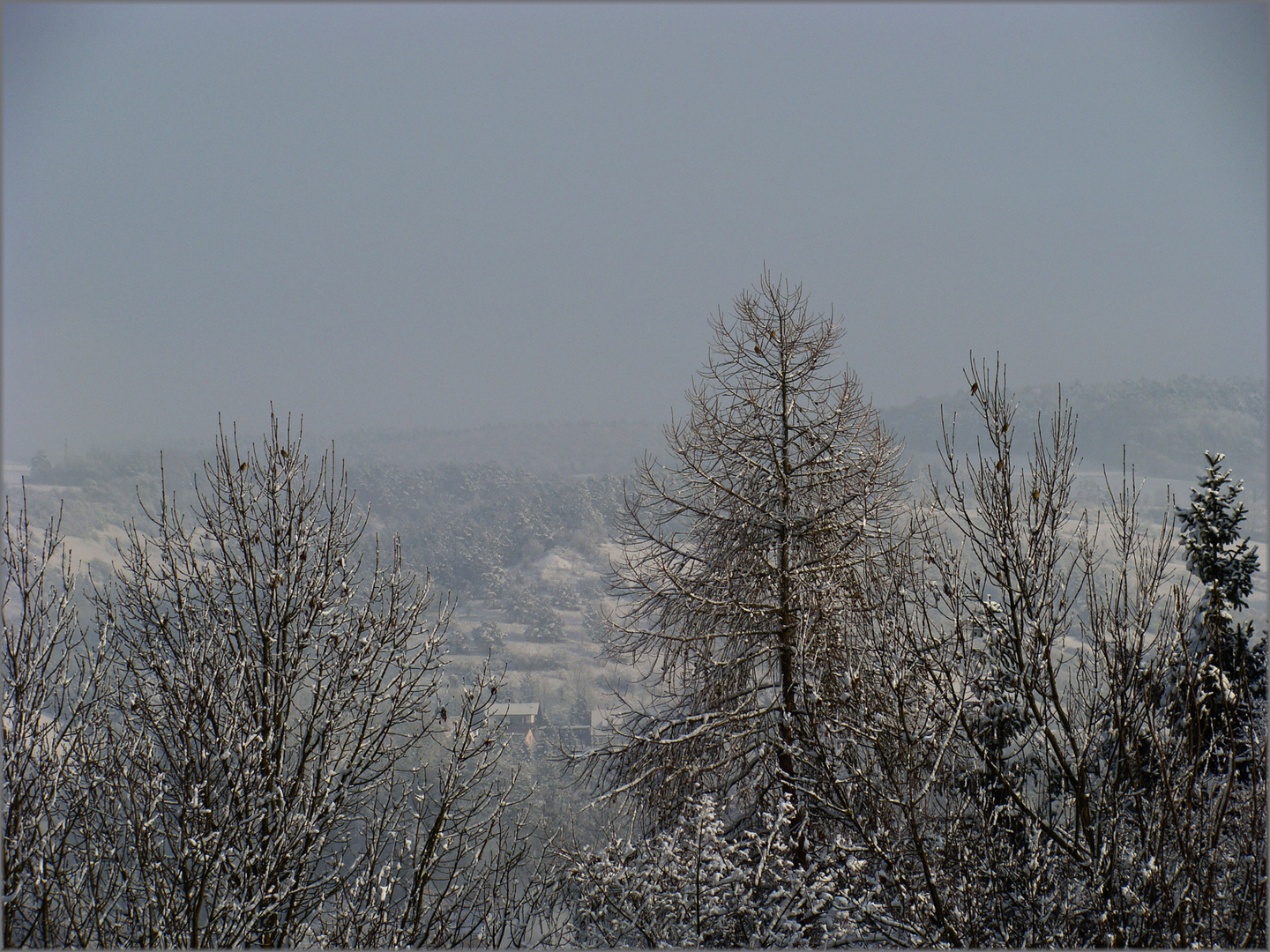 Einen-gesunden-Winter . .