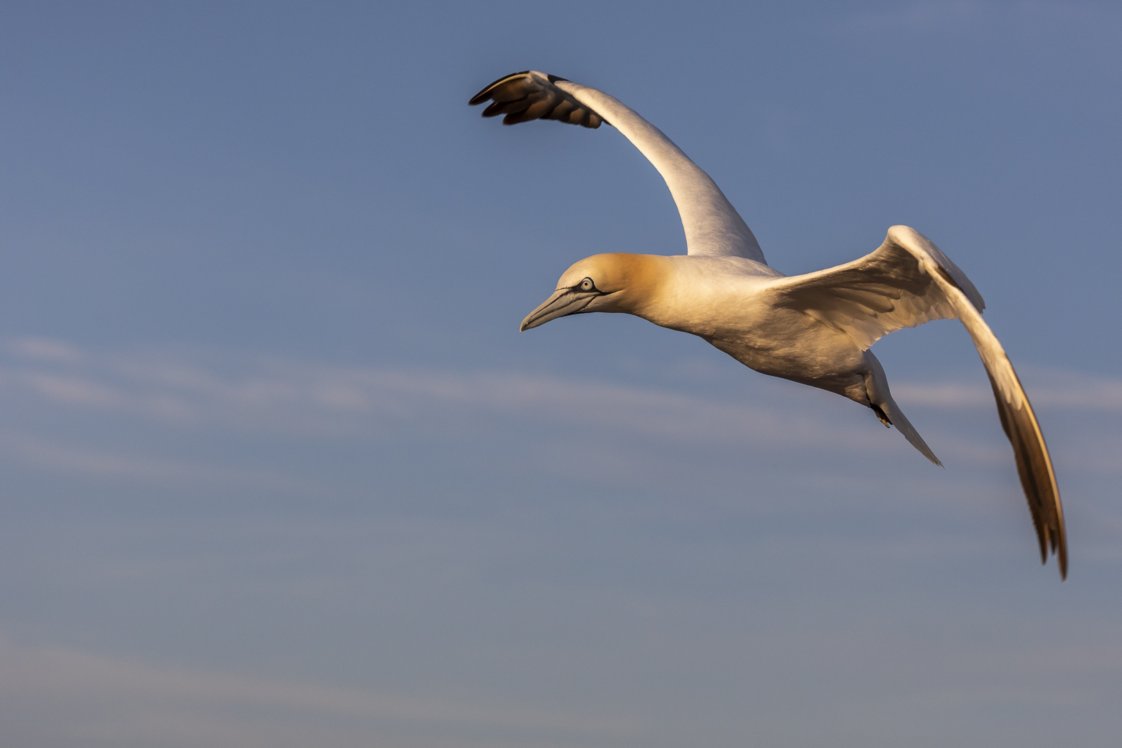 Einen guten Flug....