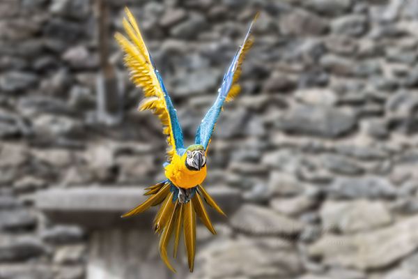 Einen guten Flug durch die Woche!!