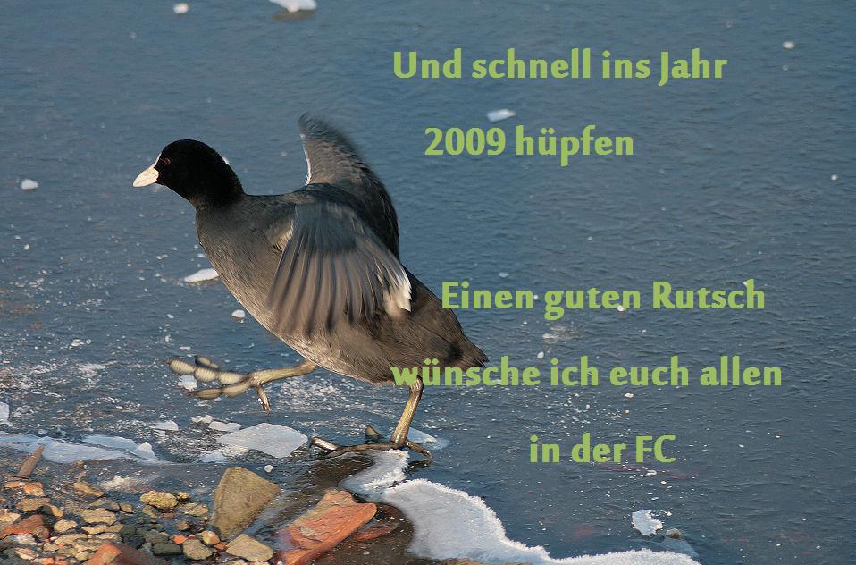 Einen guten Hüpfer, Rutsch oder Flug ins neue Jahr 2009..