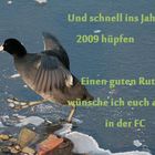 Einen guten Hüpfer, Rutsch oder Flug ins neue Jahr 2009..