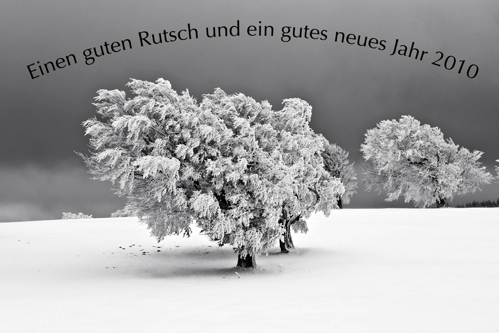 Einen guten Rutsch und ein gutes neues Jahr