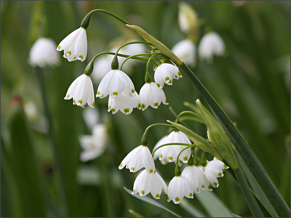 Einen guten Start in den Frühling ...