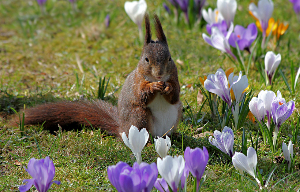 Einen guten Start ins erste Frühlingswochenende