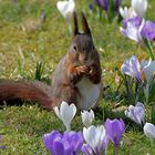 Einen guten Start ins erste Frühlingswochenende