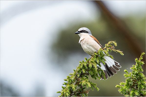 Einen guten Überblick