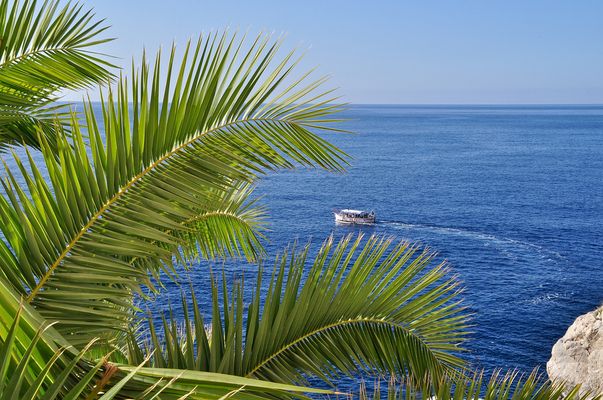 einen hab ich noch.....