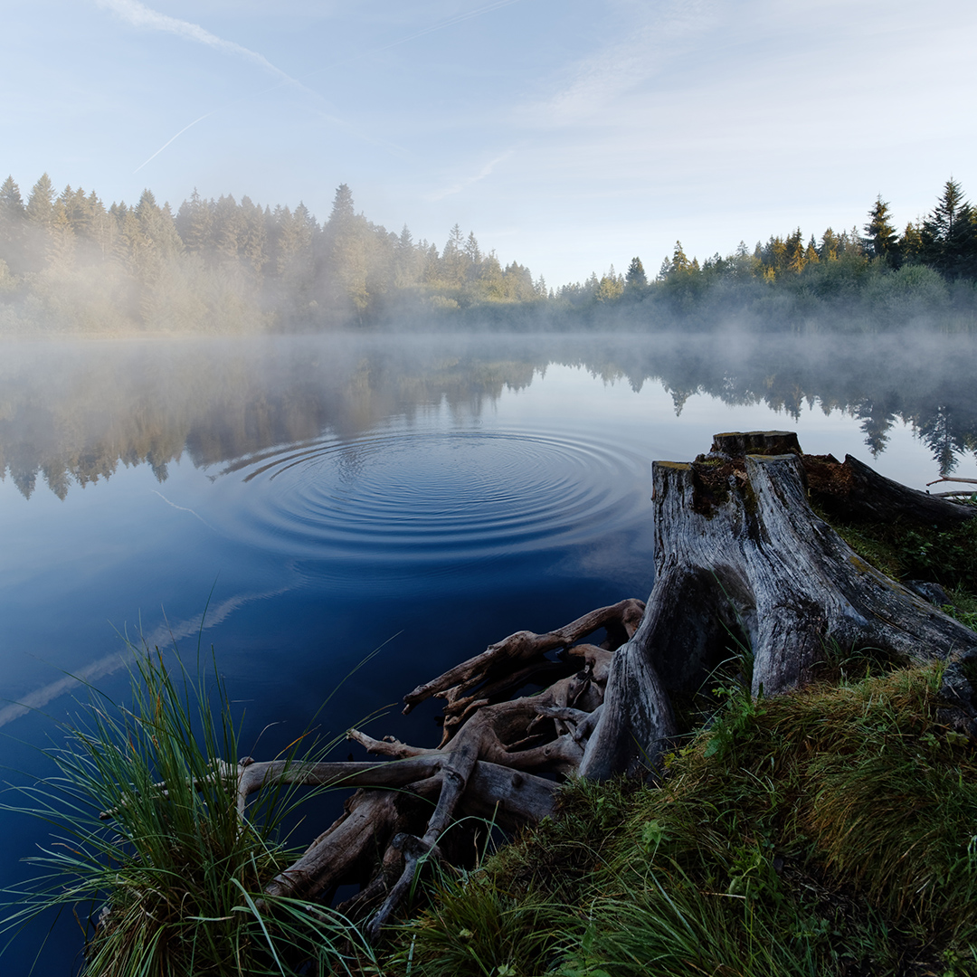 Einen Hauch Herbst