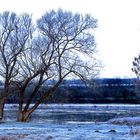 Einen Hauch von Winter