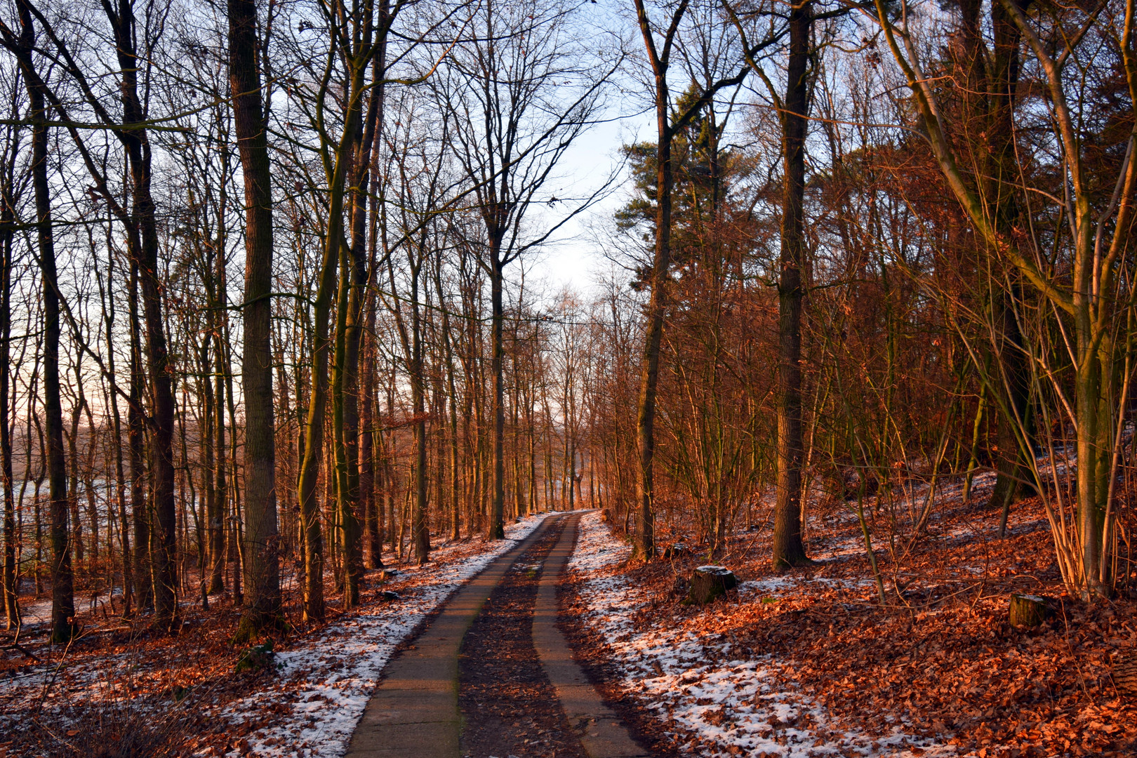 Einen Hauch von Winter in Schleswig-Holstein