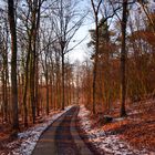 Einen Hauch von Winter in Schleswig-Holstein