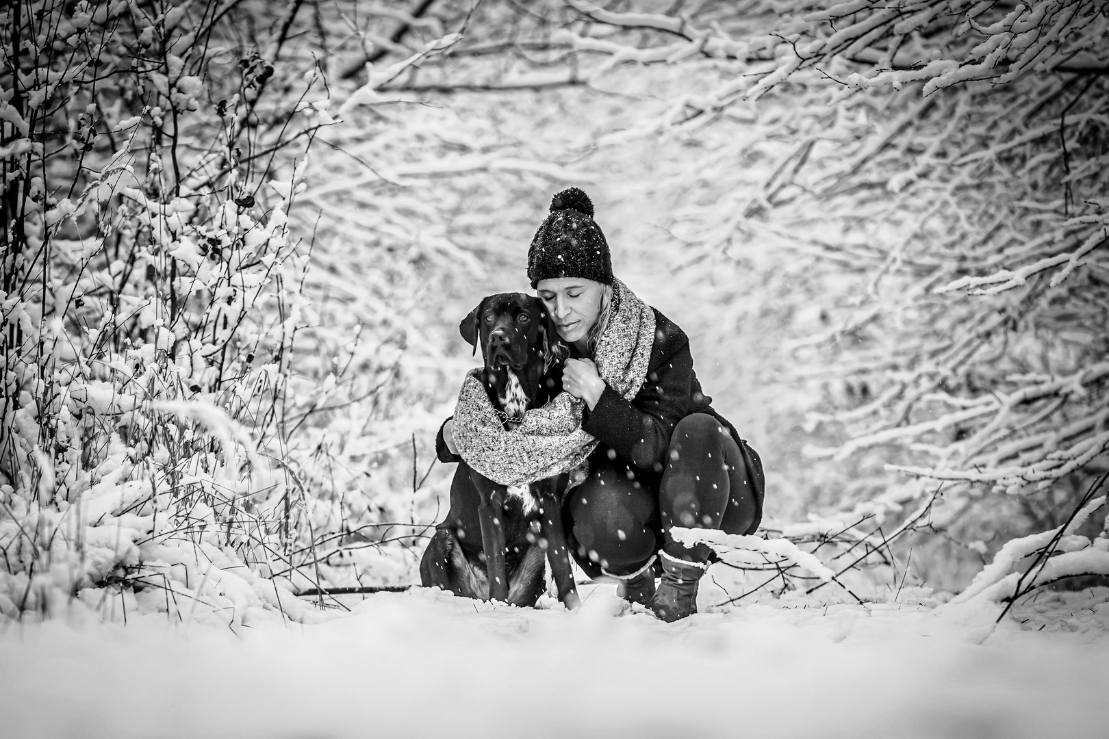 Einen Hund haben, ist eine Liebesgeschichte...