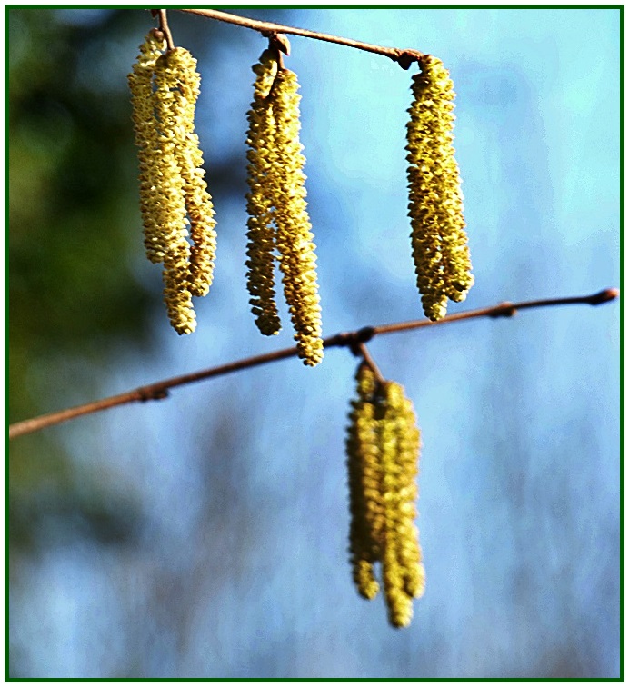 Einen kleinen Hauch von Frühling . . .