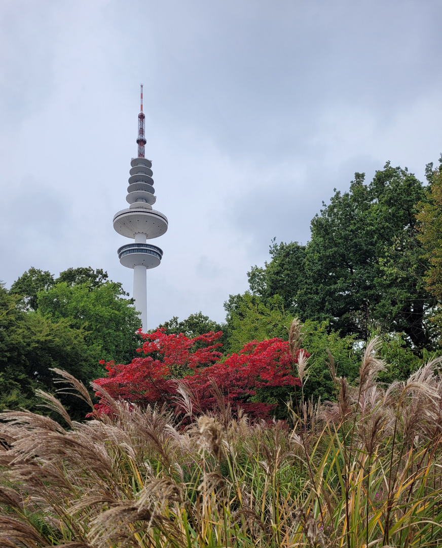 Einen kleinen Herbstgruß