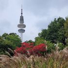 Einen kleinen Herbstgruß