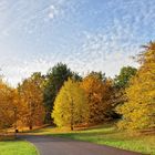 Einen kleinen Willkommensgruß an den Herbst..... 