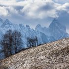 Einen letzten Hauch von Schnee...