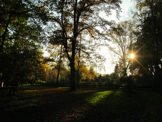 einen lichtvollen Sonntag