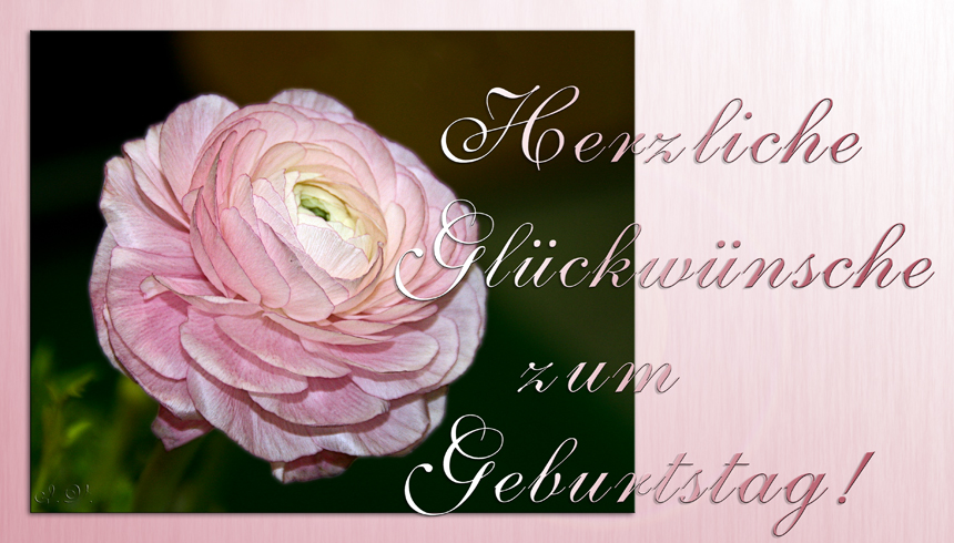 Einen lieben Geburtstagsgruß Foto & Bild gratulation und feiertage
