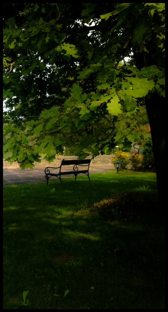 einen Platz auf der Bank unter dem Baum