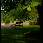 einen Platz auf der Bank unter dem Baum