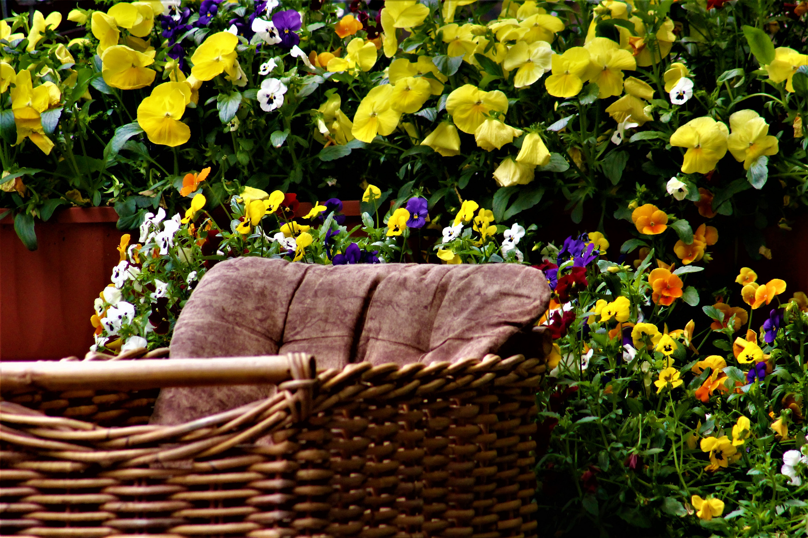 einen  Platz im Grünen umgeben von Blumen