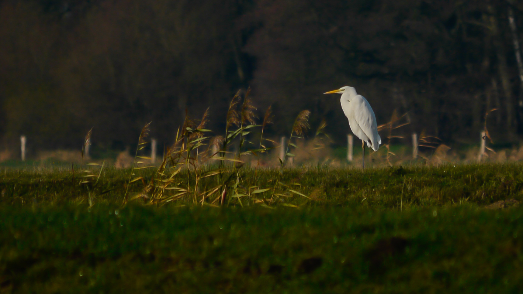 Einen Platz in der Herbstsonne...