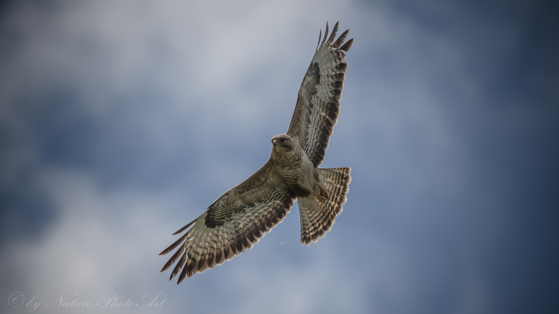 Einen Rundflug