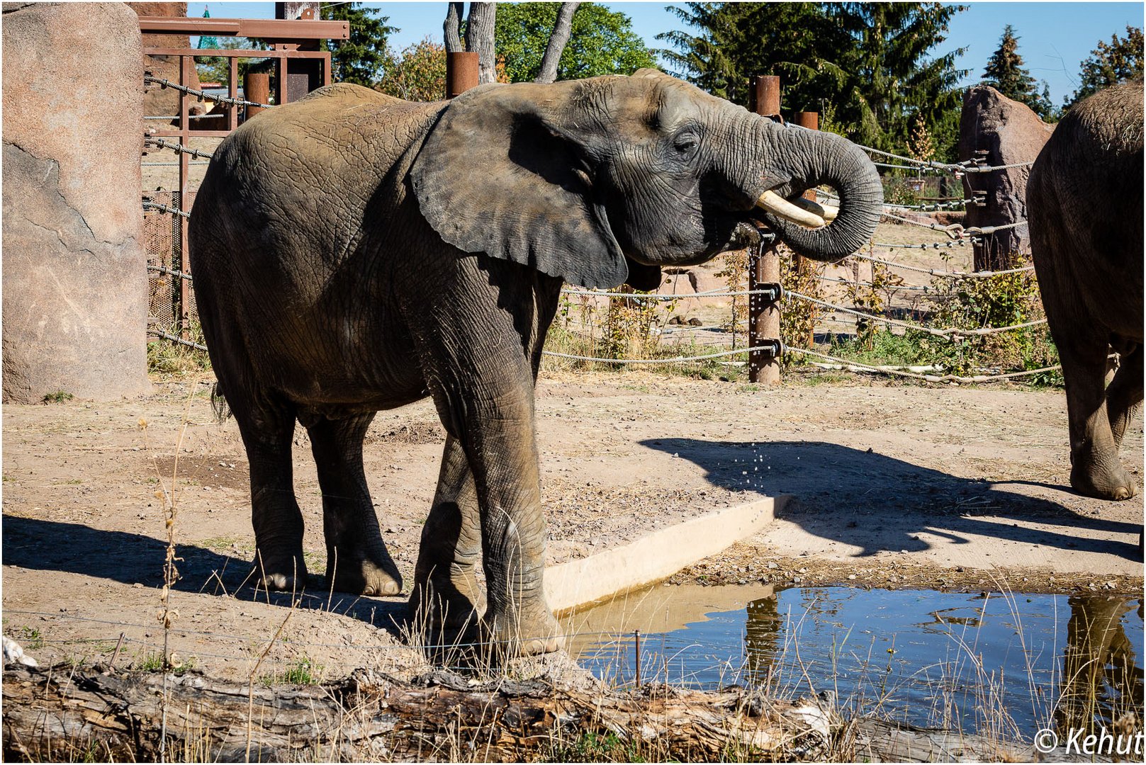 "Einen Schluck in Ehren ..." - Zoo Magdeburg