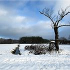 Einen schönen 1. Advent 2023