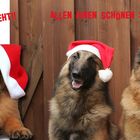 EINEN SCHÖNEN 3. ADVENT