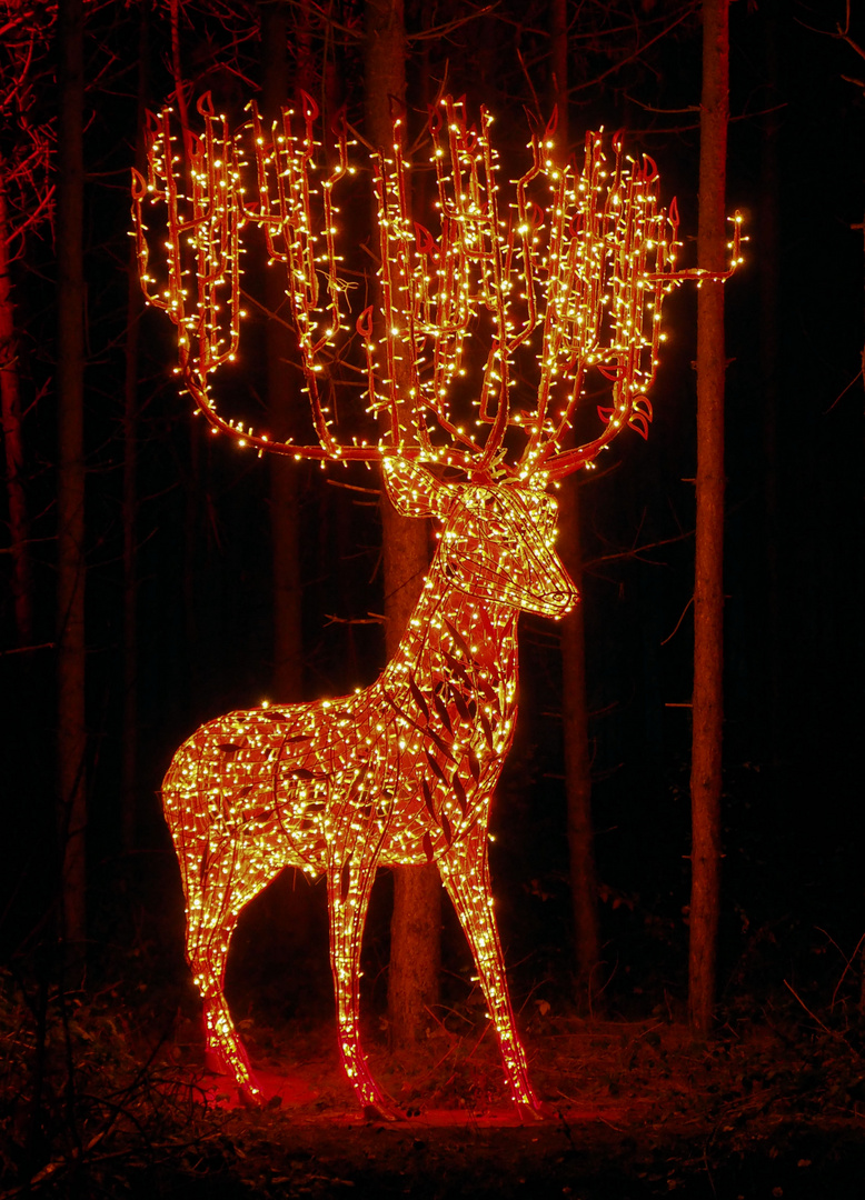 Einen schönen 3. Advent...