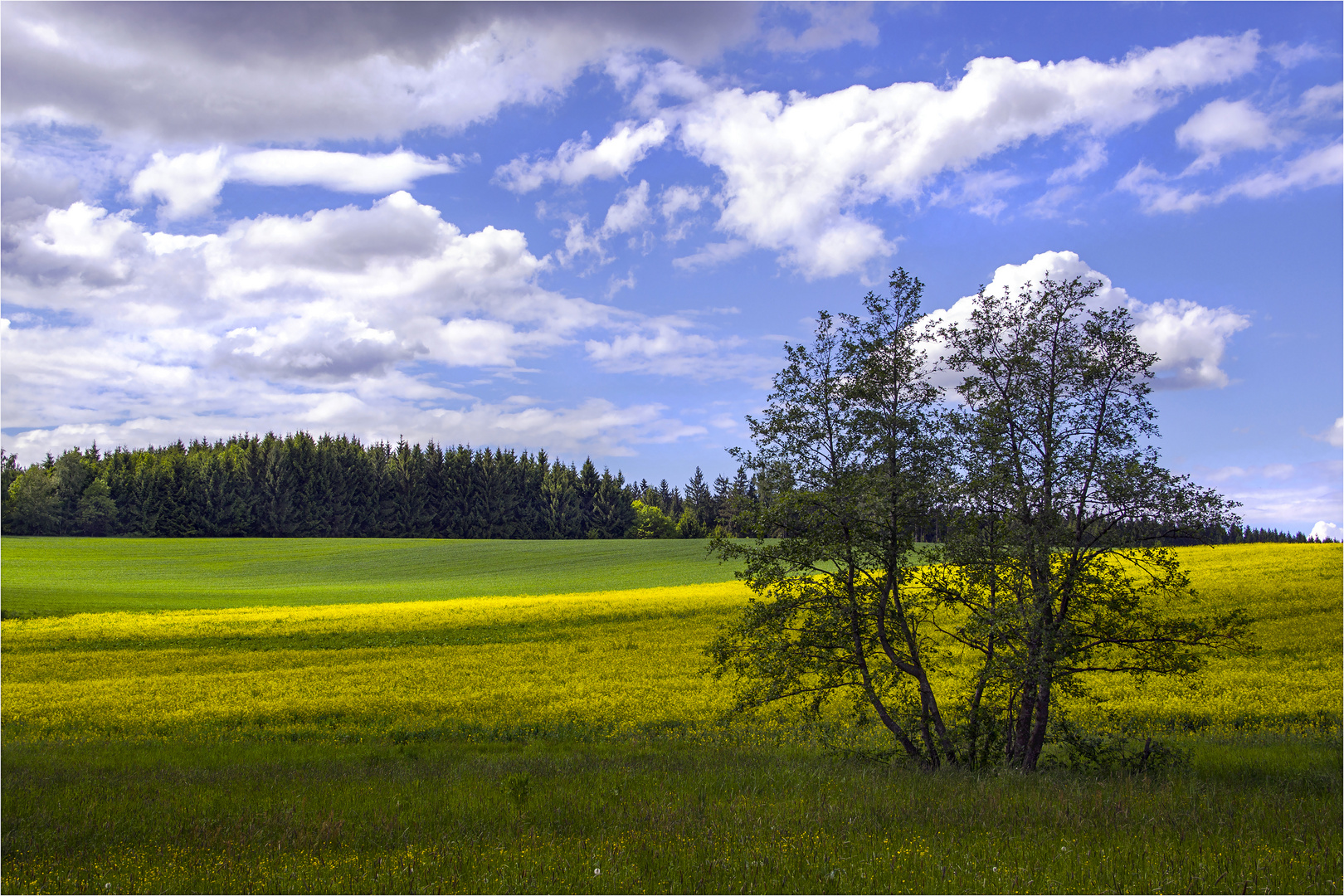 Einen schönen Ausblick....