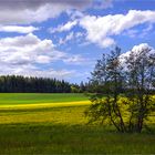 Einen schönen Ausblick....