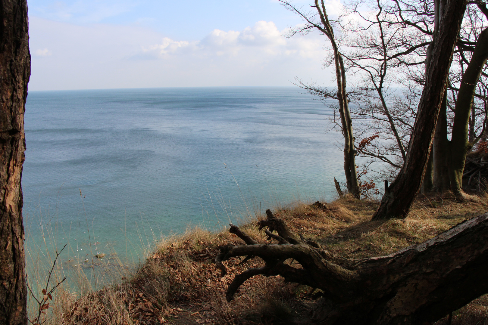 Einen schönen Ausblick