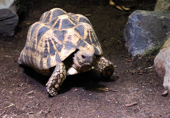 Einen schönen Feiertag…