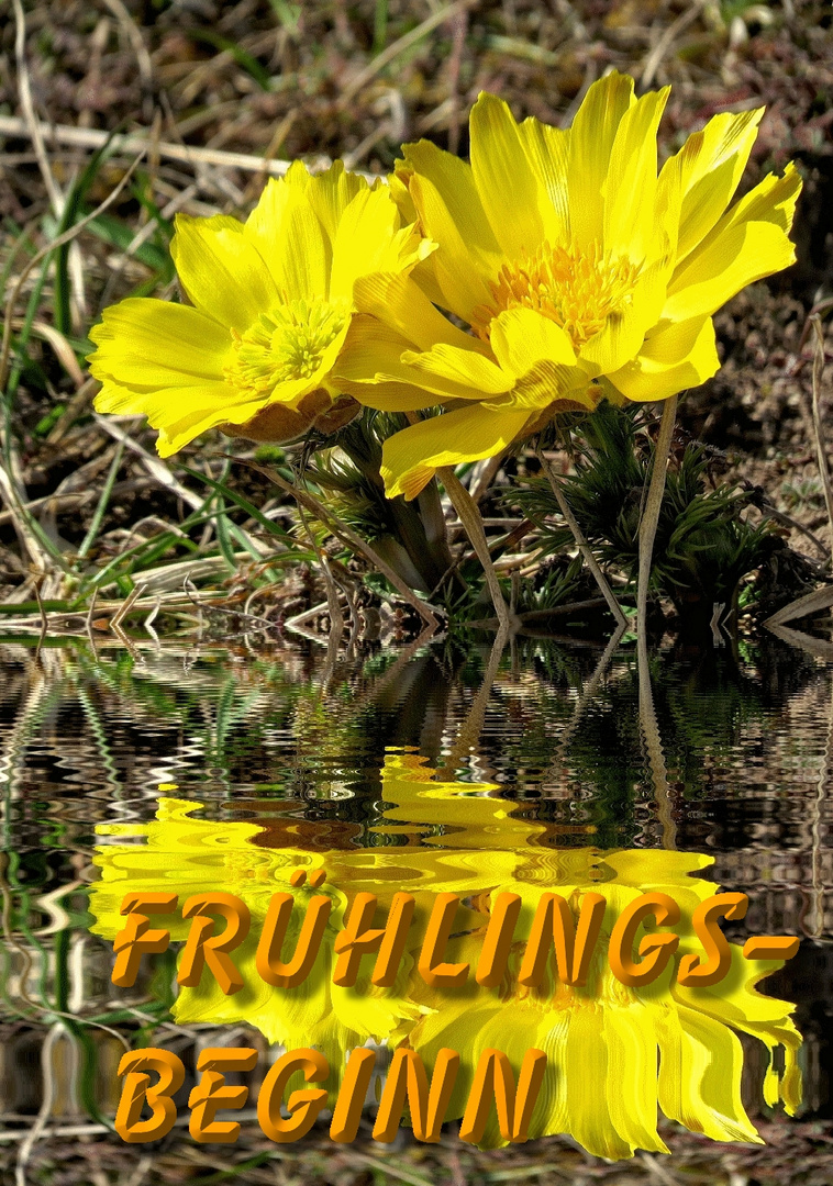 Frühlingsanfang 2024 Bilder: Erwecke die Schönheit des Frühlings zum Leben!