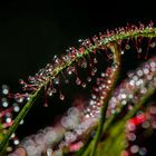 einen schönen glitzerbogen über den leuchtlichtfluss