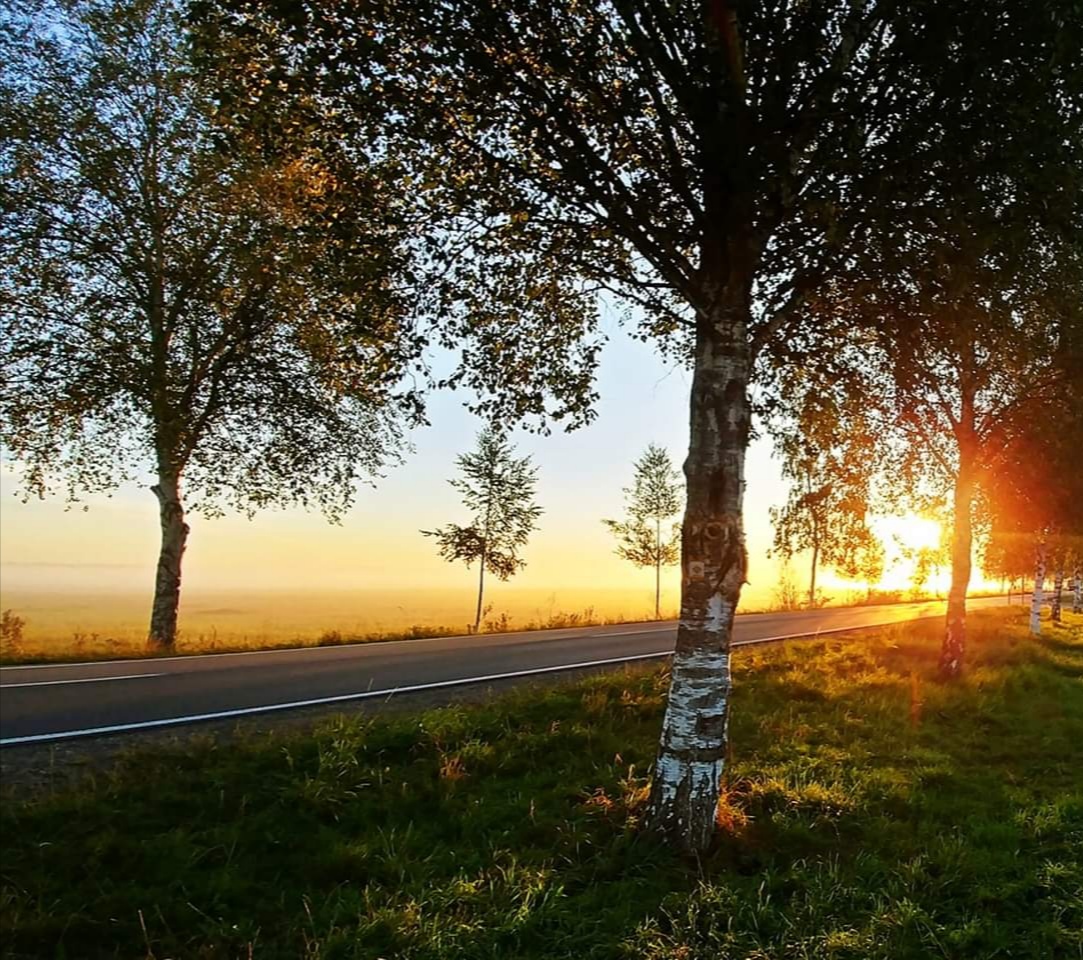 Einen schönen Guten Morgen 