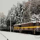 Einen schönen Heiligabend und Frohe Weihnachten !