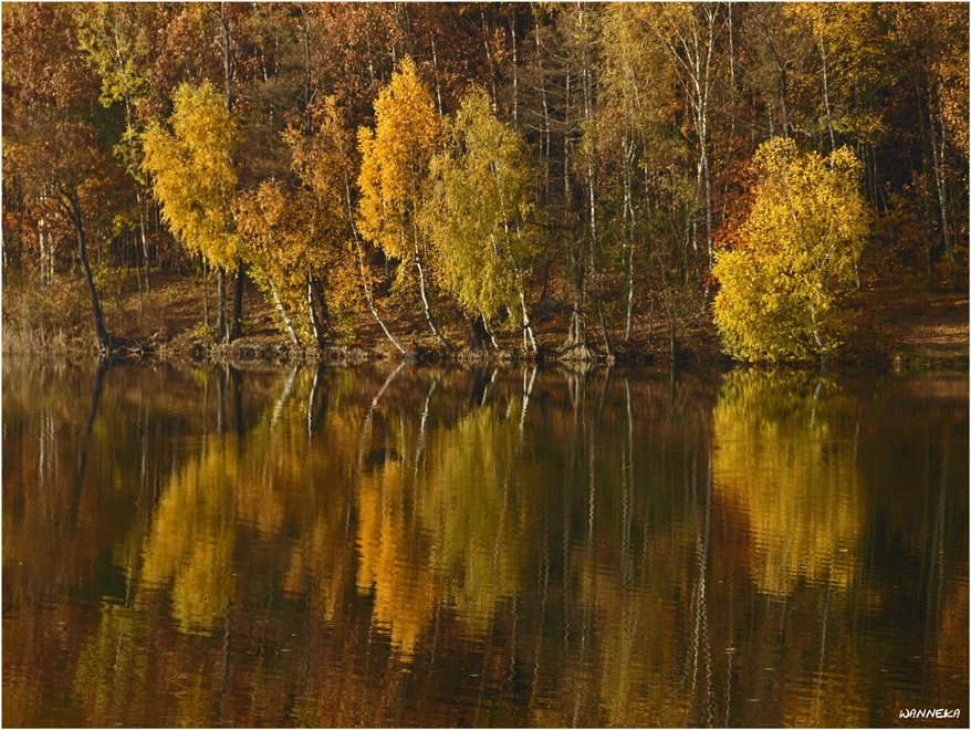 einen schönen herbst