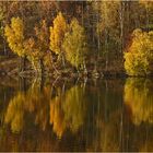 einen schönen herbst