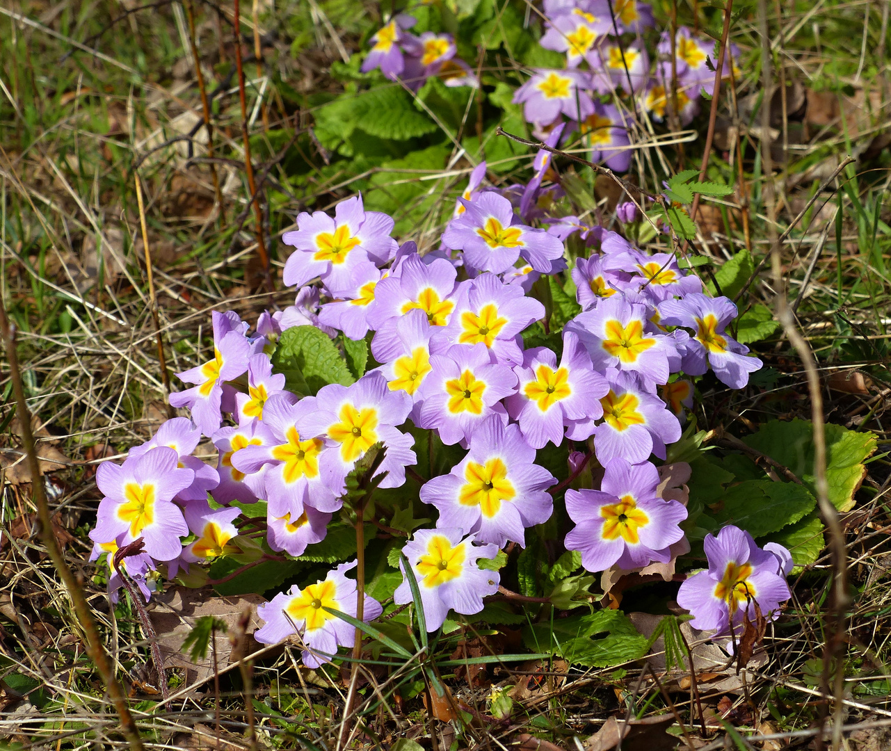 Einen schönen letzten April-Sonntag