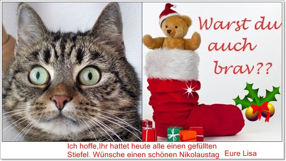 einen schönen Nikolaustag