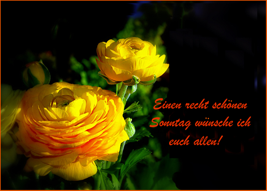 Einen schönen Sonntag