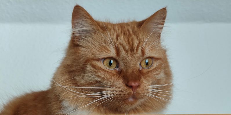 Einen schönen Sonntag