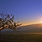 Einen schönen Sonntag wünsche ich