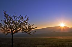 Einen schönen Sonntag wünsche ich