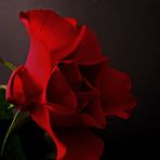 Einen schönen Valentinstag.......